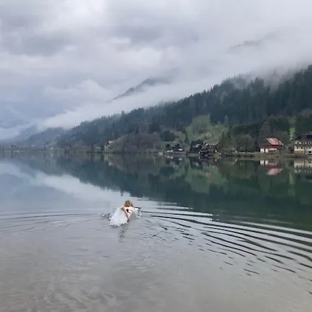 Seebrauer By Interhome Apartamento Feld am See