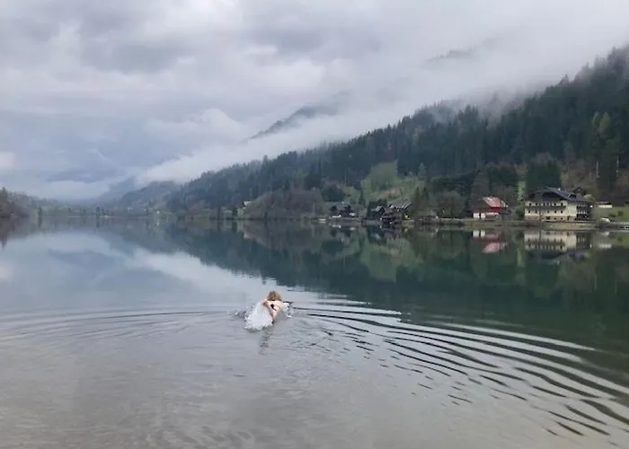 Seebrauer By Interhome Apartament Feld am See