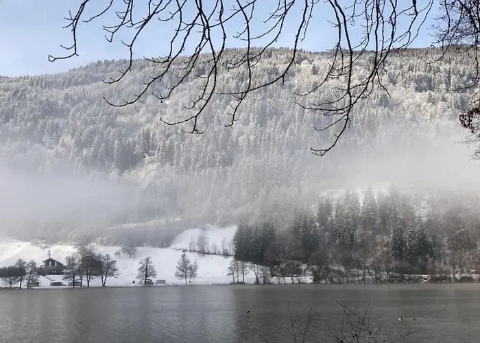 Seebrauer By Interhome 3*